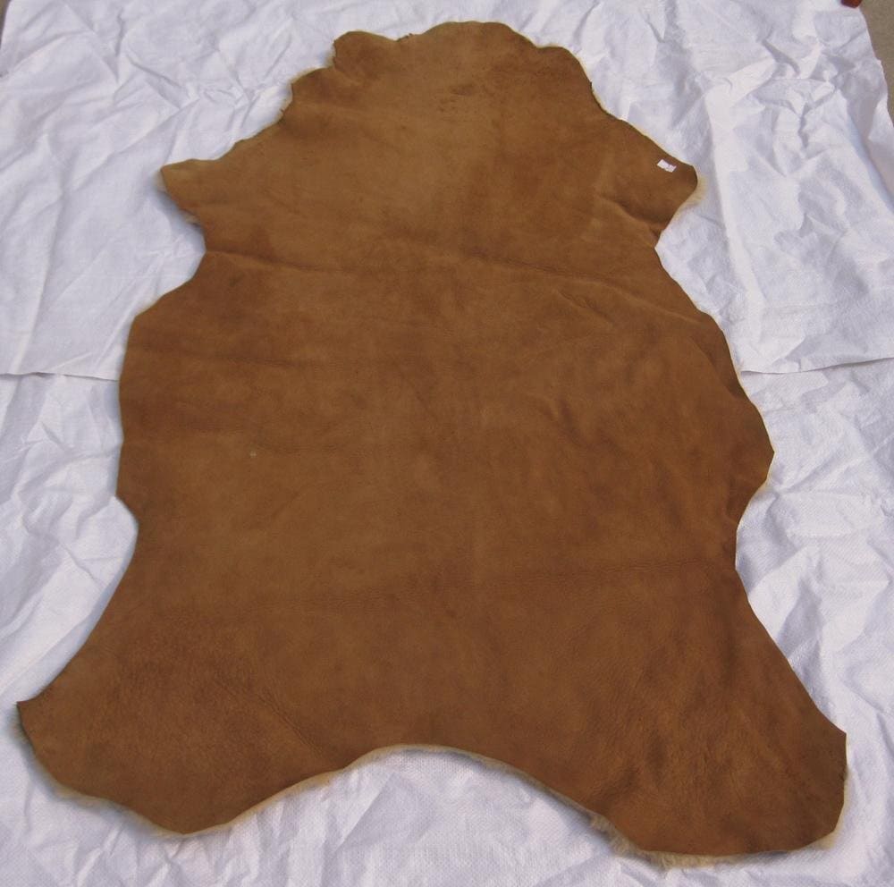 Where Does Leather Come From?