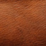 15 Fun Facts About Leather
