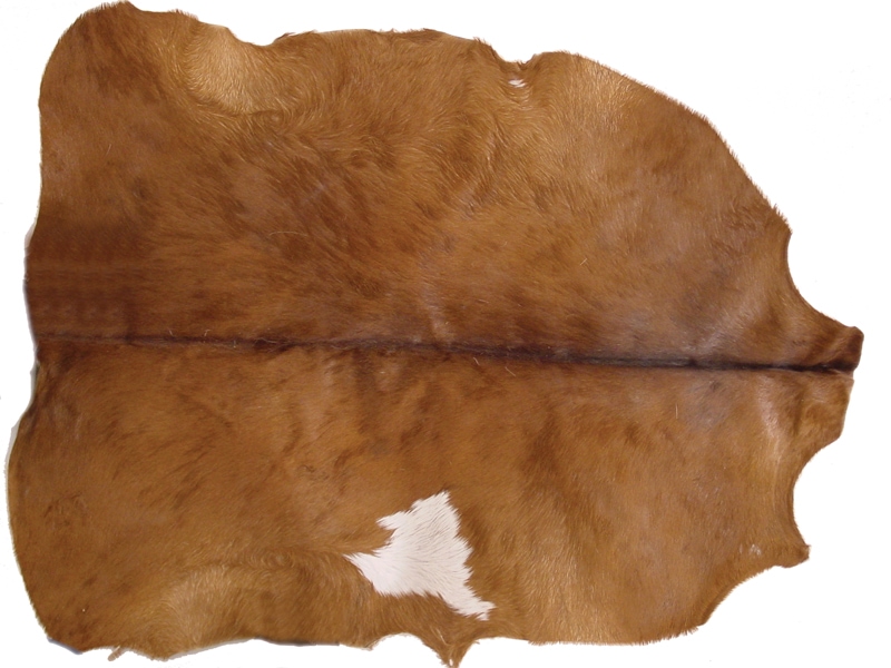 goatskin