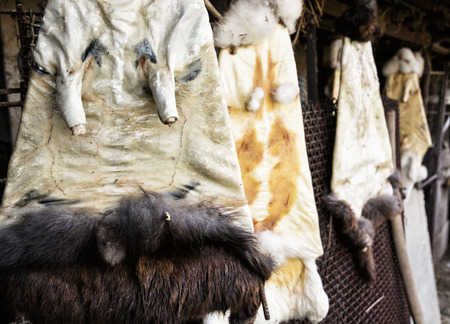 49724688 - rabbit furs hanging on the hooks in the farm. stretched skin.