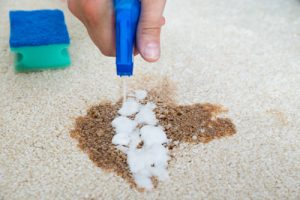 Closeup of man hand cleaning grease stain on rug with spray bottle