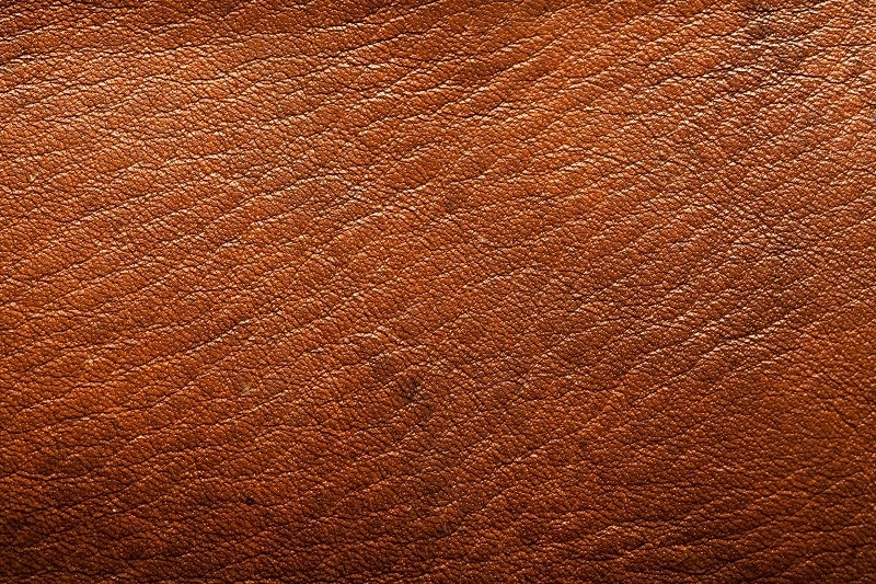 15 Fun Facts About Leather 15 Fun Facts About Leather